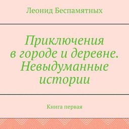 Приключения в городе и деревне. Невыдуманные истории. Книга первая