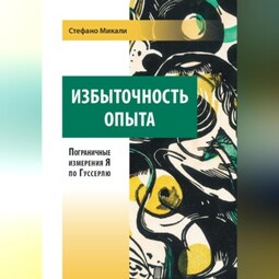 Избыточность опыта