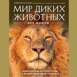 Мир диких животных без мифов. Невероятные фото-истории о жизни хищников саванны