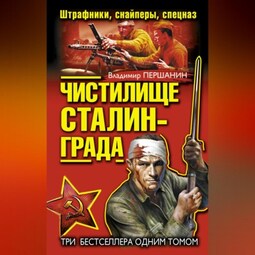Чистилище Сталинграда. Штрафники, снайперы, спецназ (сборник)