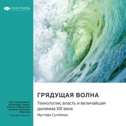 Грядущая волна. Технологии, власть и величайшая дилемма XXI века. Мустафа Сулейман. Саммари