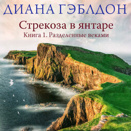 Стрекоза в янтаре. Книга 1. Разделенные веками