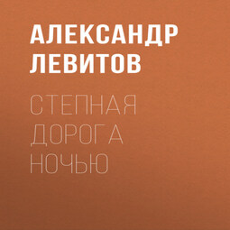 Степная дорога ночью