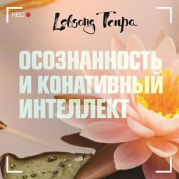 Осознанность и конативный интеллект