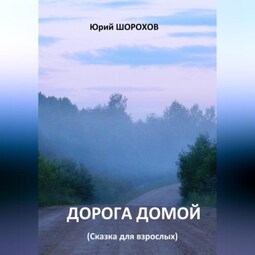 Дорога домой