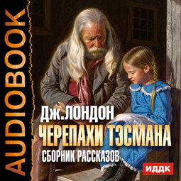 Черепахи Тэсмана. Сборник рассказов