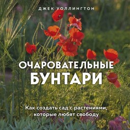 Очаровательные бунтари. Как создать сад с растениями, которые любят свободу