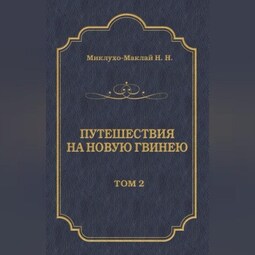 Путешествия на Новую Гвинею (Дневники путешествий 1874—1887). Том 2