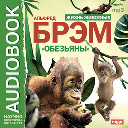 Жизнь животных. Обезьяны