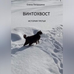 Винтохвост-3