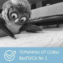 Термины от Совы – Выпуск 1