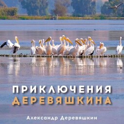 Приключения Деревяшкина