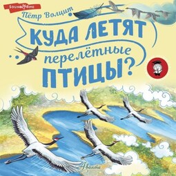 Куда летят перелётные птицы?