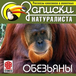 Рассказы классиков о животных. Обезьяны