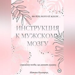 Инструкция к мужскому мозгу