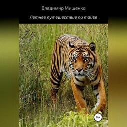 Летнее путешествие по тайге
