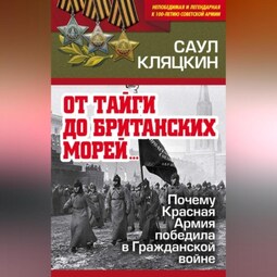 «От тайги до британских морей…»: Почему Красная Армия победила в Гражданской войне