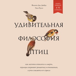 Удивительная философия птиц. Как ласточки относятся к смерти, горлицы сохраняют романтику в отношениях, а утки спасаются от стресса