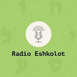 Звуки Метрополиса / Sound of Metropolis