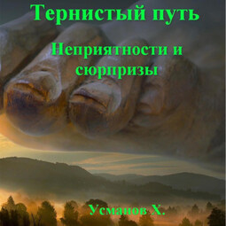 Тернистый путь. Неприятности и сюрпризы