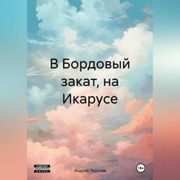 В Бордовый закат, на Икарусе