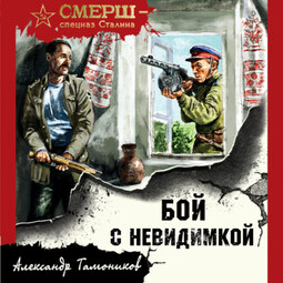 Бой с невидимкой