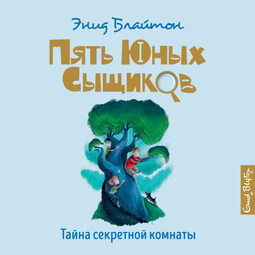 Тайна секретной комнаты книга