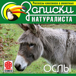 Рассказы классиков о животных. Ослы
