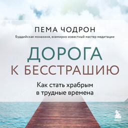 Дорога к бесстрашию. Как стать храбрым в трудные времена