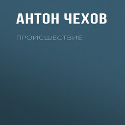 Происшествие