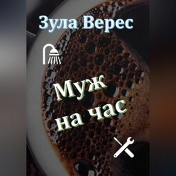 Муж на час