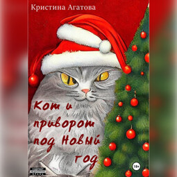 Кот и приворот под Новый год