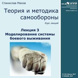 Лекция 3. Моделирование системы боевого выживания