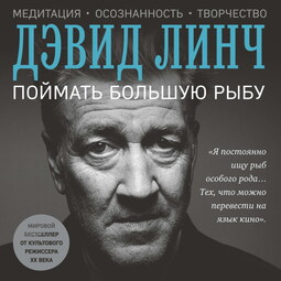 Поймать большую рыбу: медитация, осознанность и творчество