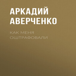 Как меня оштрафовали