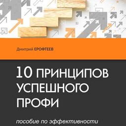 10 принципов успешного профи. Пособие по эффективности