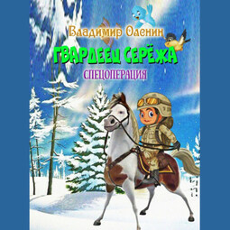 Гвардеец Серёжа. Спецоперация