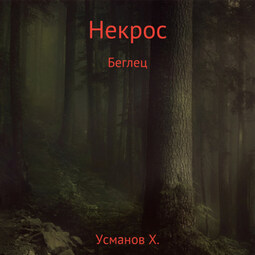 Некрос. Беглец
