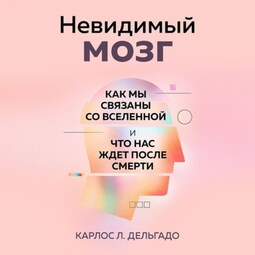 Невидимый мозг. Как мы связаны со Вселенной и что нас ждет после смерти