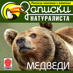 Рассказы классиков о животных. Медведи
