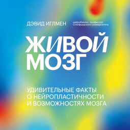 Живой мозг. Удивительные факты о нейропластичности и возможностях мозга