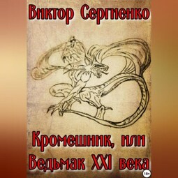 Кромешник, или Ведьмак XXI века
