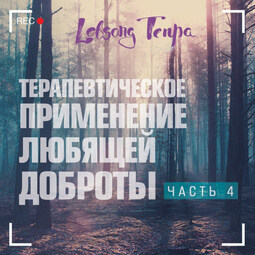Терапевтическое применение любящей доброты. Часть 4