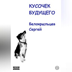 Кусочек будущего