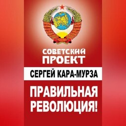 Правильная революция!